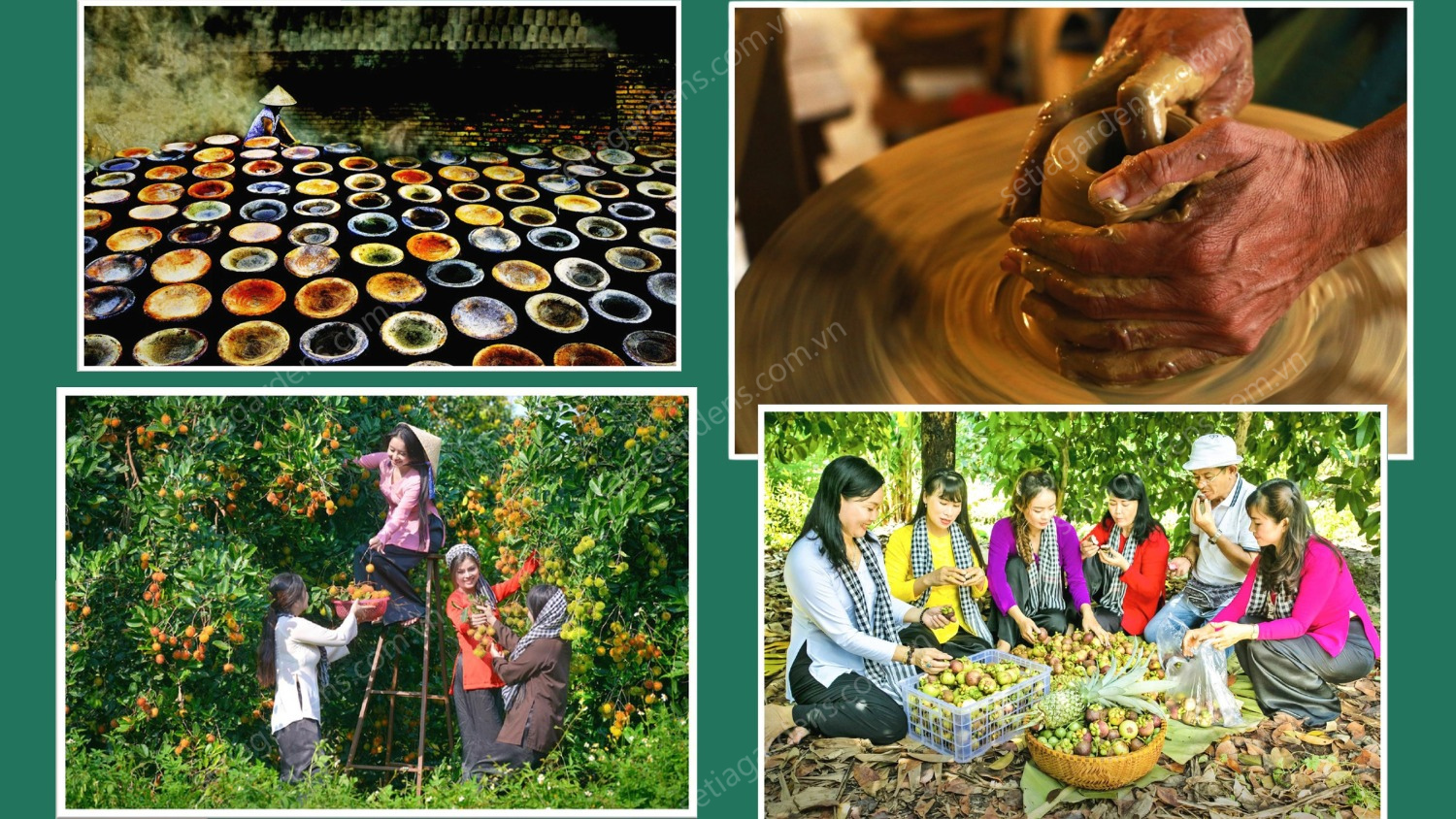 Cảm Hứng Thiết Kế The Emerald Garden View